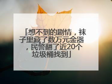 想不到的剧情，袜子里藏了数万元金器，民警翻了近20个垃圾桶找到
