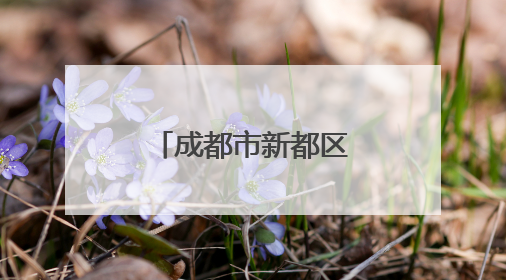 成都市新都区总工会主办职工交友联谊活动