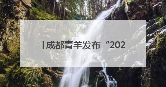 成都青羊发布“2025年城市机会清单” 220个机会等你来！