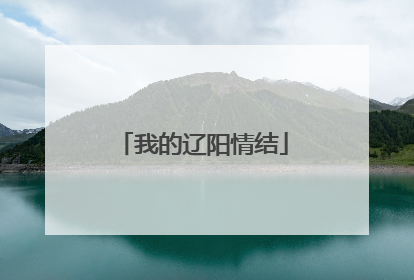 我的辽阳情结