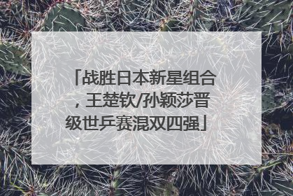 战胜日本新星组合，王楚钦/孙颖莎晋级世乒赛混双四强