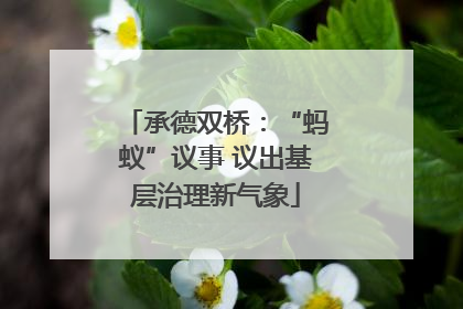 承德双桥：“蚂蚁”议事 议出基层治理新气象