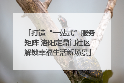 打造“一站式”服务矩阵 洛阳定鼎门社区解锁幸福生活新场景