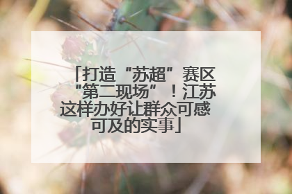 打造“苏超”赛区“第二现场”！江苏这样办好让群众可感可及的实事