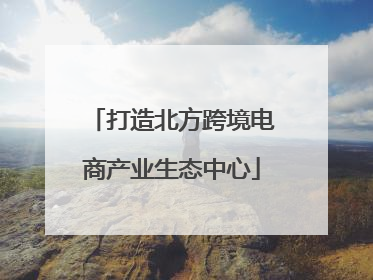 打造北方跨境电商产业生态中心