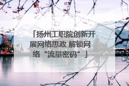 扬州工职院创新开展网络思政 解锁网络“流量密码”