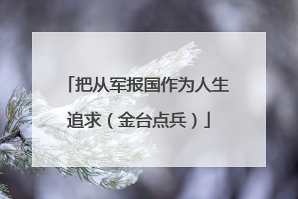 把从军报国作为人生追求（金台点兵）