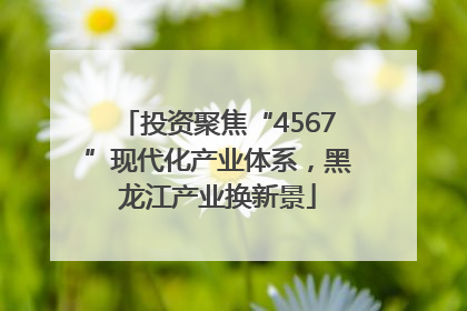 投资聚焦“4567”现代化产业体系，黑龙江产业换新景