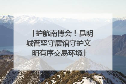 护航南博会！昆明城管坚守展馆守护文明有序交易环境