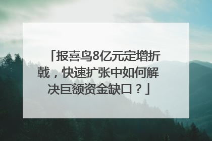 报喜鸟8亿元定增折戟，快速扩张中如何解决巨额资金缺口？