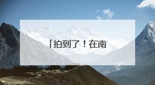 拍到了！在南通这片海域出现伪虎鲸群