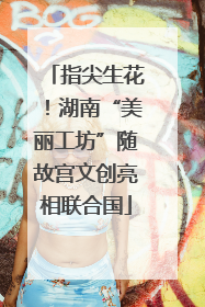 指尖生花！湖南“美丽工坊”随故宫文创亮相联合国