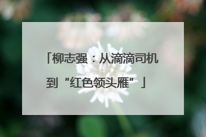 柳志强：从滴滴司机到“红色领头雁”