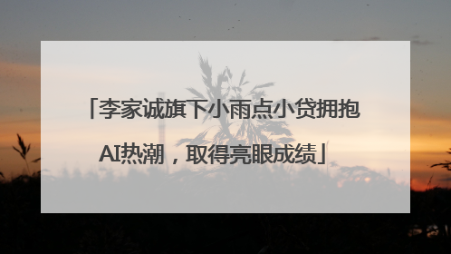 李家诚旗下小雨点小贷拥抱AI热潮，取得亮眼成绩