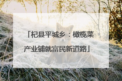 杞县平城乡：橄榄菜产业铺就富民新道路