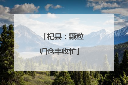 杞县：颗粒归仓丰收忙