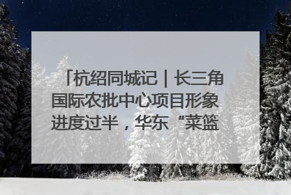 杭绍同城记｜长三角国际农批中心项目形象进度过半，华东“菜篮子”建设加码提速！