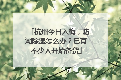 杭州今日入梅，防潮除湿怎么办？已有不少人开始备货