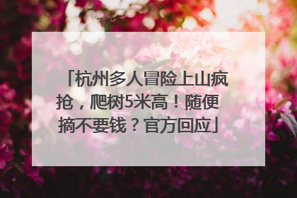 杭州多人冒险上山疯抢，爬树5米高！随便摘不要钱？官方回应