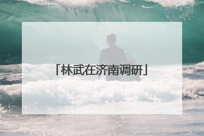 林武在济南调研