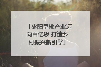 枣阳皇桃产业迈向百亿级 打造乡村振兴新引擎
