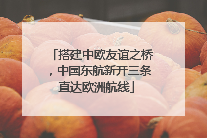 搭建中欧友谊之桥，中国东航新开三条直达欧洲航线