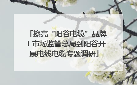 擦亮“阳谷电缆”品牌！市场监管总局到阳谷开展电线电缆专题调研