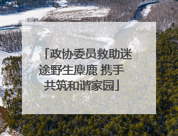 政协委员救助迷途野生麋鹿 携手共筑和谐家园