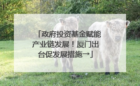政府投资基金赋能产业链发展！厦门出台促发展措施→