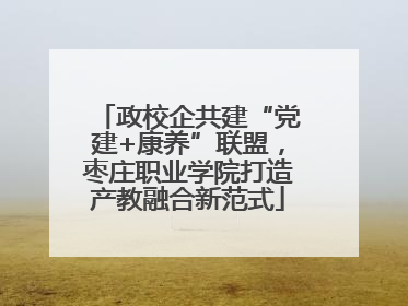 政校企共建“党建+康养”联盟，枣庄职业学院打造产教融合新范式