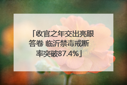 收官之年交出亮眼答卷 临沂禁毒戒断率突破87.4%