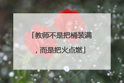 教师不是把桶装满，而是把火点燃