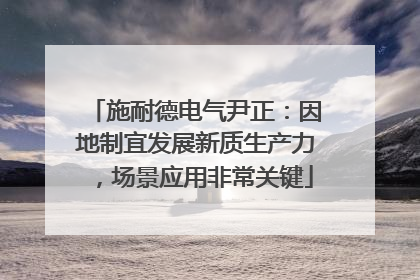 施耐德电气尹正：因地制宜发展新质生产力，场景应用非常关键