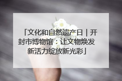 文化和自然遗产日｜开封市博物馆：让文物焕发新活力绽放新光彩