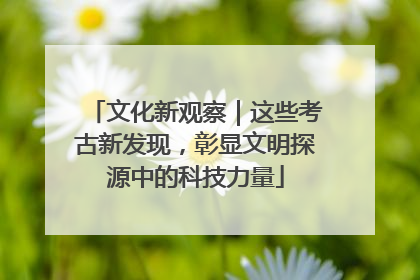 文化新观察｜这些考古新发现，彰显文明探源中的科技力量