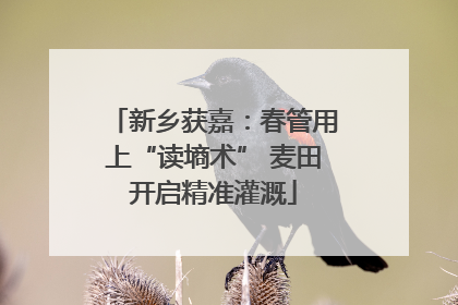 新乡获嘉：春管用上“读墒术” 麦田开启精准灌溉