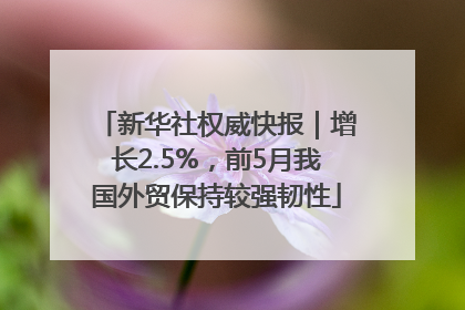 新华社权威快报｜增长2.5%，前5月我国外贸保持较强韧性