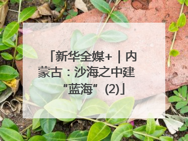 新华全媒+｜内蒙古：沙海之中建“蓝海”(2)