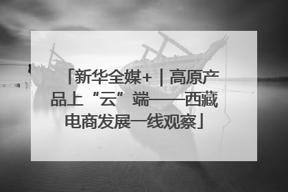新华全媒+｜高原产品上“云”端——西藏电商发展一线观察