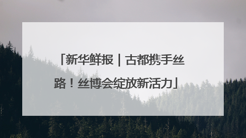 新华鲜报｜古都携手丝路！丝博会绽放新活力
