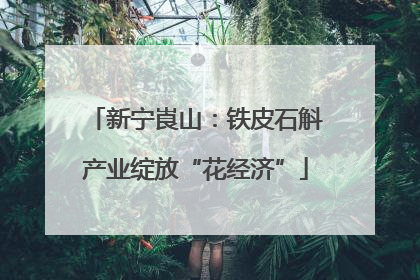 新宁崀山：铁皮石斛产业绽放“花经济”