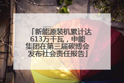 新能源装机累计达613万千瓦，申能集团在第三届碳博会发布社会责任报告