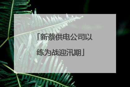 新蔡供电公司以练为战迎汛期