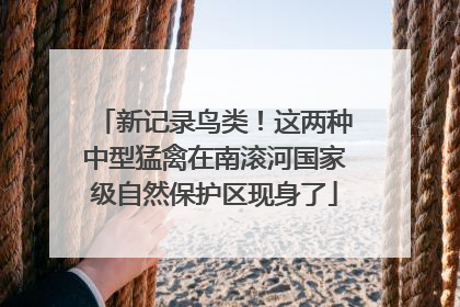 新记录鸟类！这两种中型猛禽在南滚河国家级自然保护区现身了