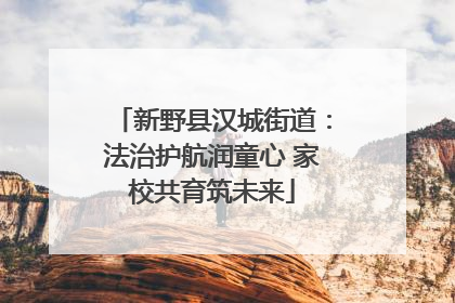 新野县汉城街道：法治护航润童心 家校共育筑未来