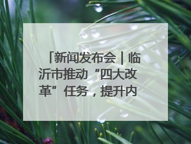 新闻发布会｜临沂市推动“四大改革”任务，提升内部审计监督效能