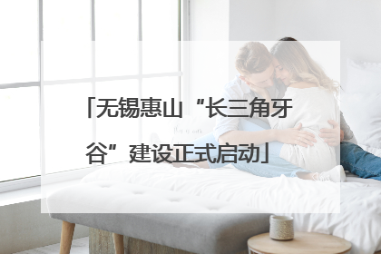 无锡惠山“长三角牙谷”建设正式启动