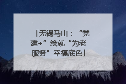 无锡马山：“党建+”绘就“为老服务”幸福底色