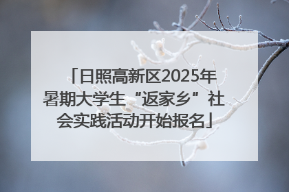 日照高新区2025年暑期大学生“返家乡”社会实践活动开始报名