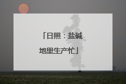 日照：盐碱地里生产忙